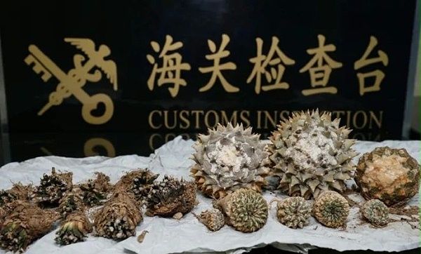 微信图片_20250207091740