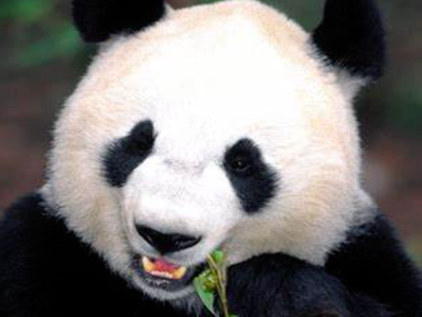 微信图片_20250206091015