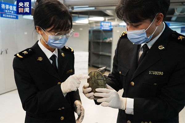 微信图片_20250206092611