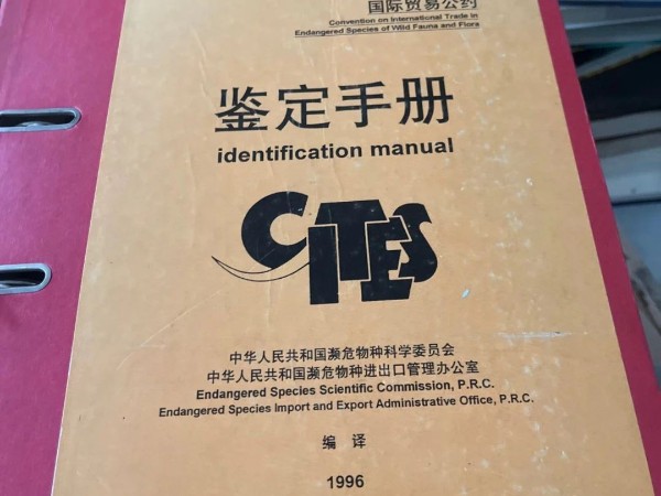 微信图片_20250206093125