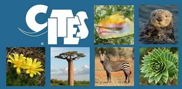 微信图片_20250206093222