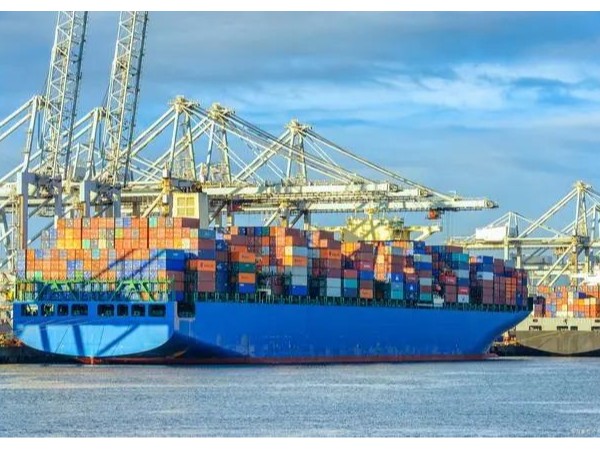 外贸贴士 | 冷冻蔬菜出口指南