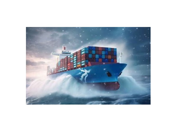 规范申报 I     进出口申报时运费栏申报错误专题：风险与应对