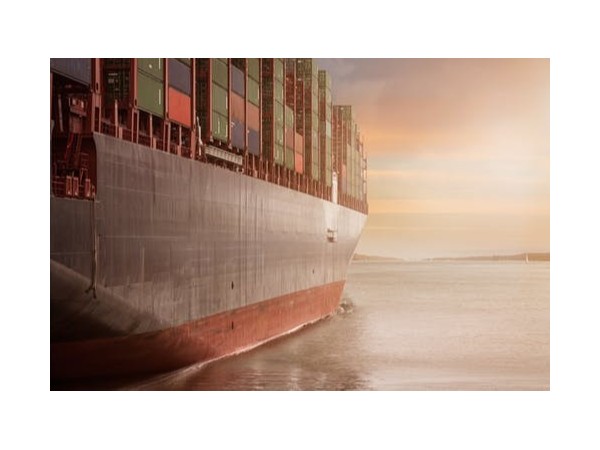 延迟复工导致无法在规定期限内完成海运申报应该怎么办？